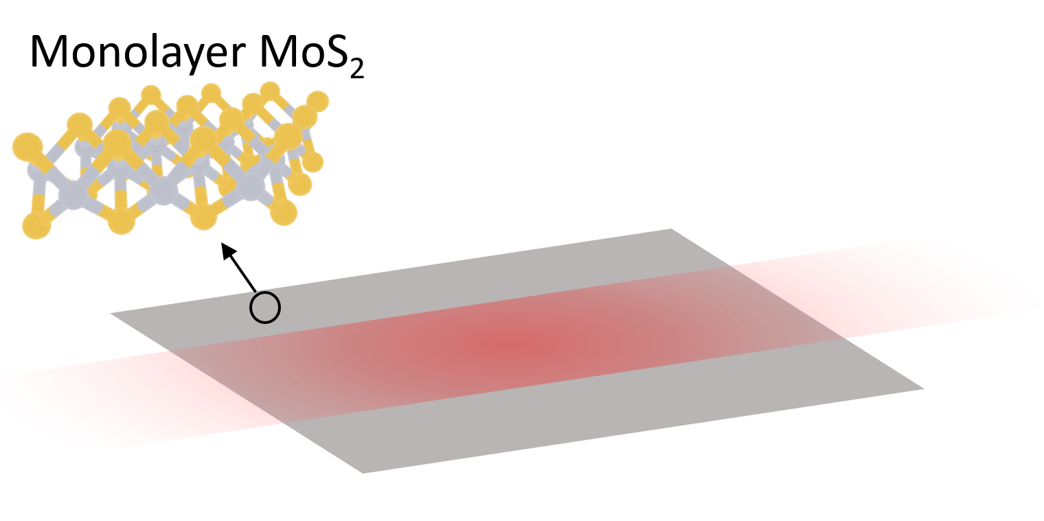 Schematic of the MoS2 waveguide