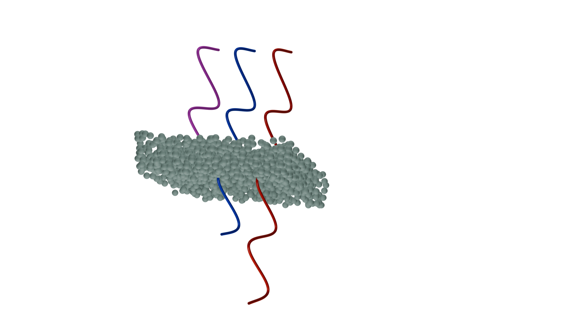 Schematic of the experiment