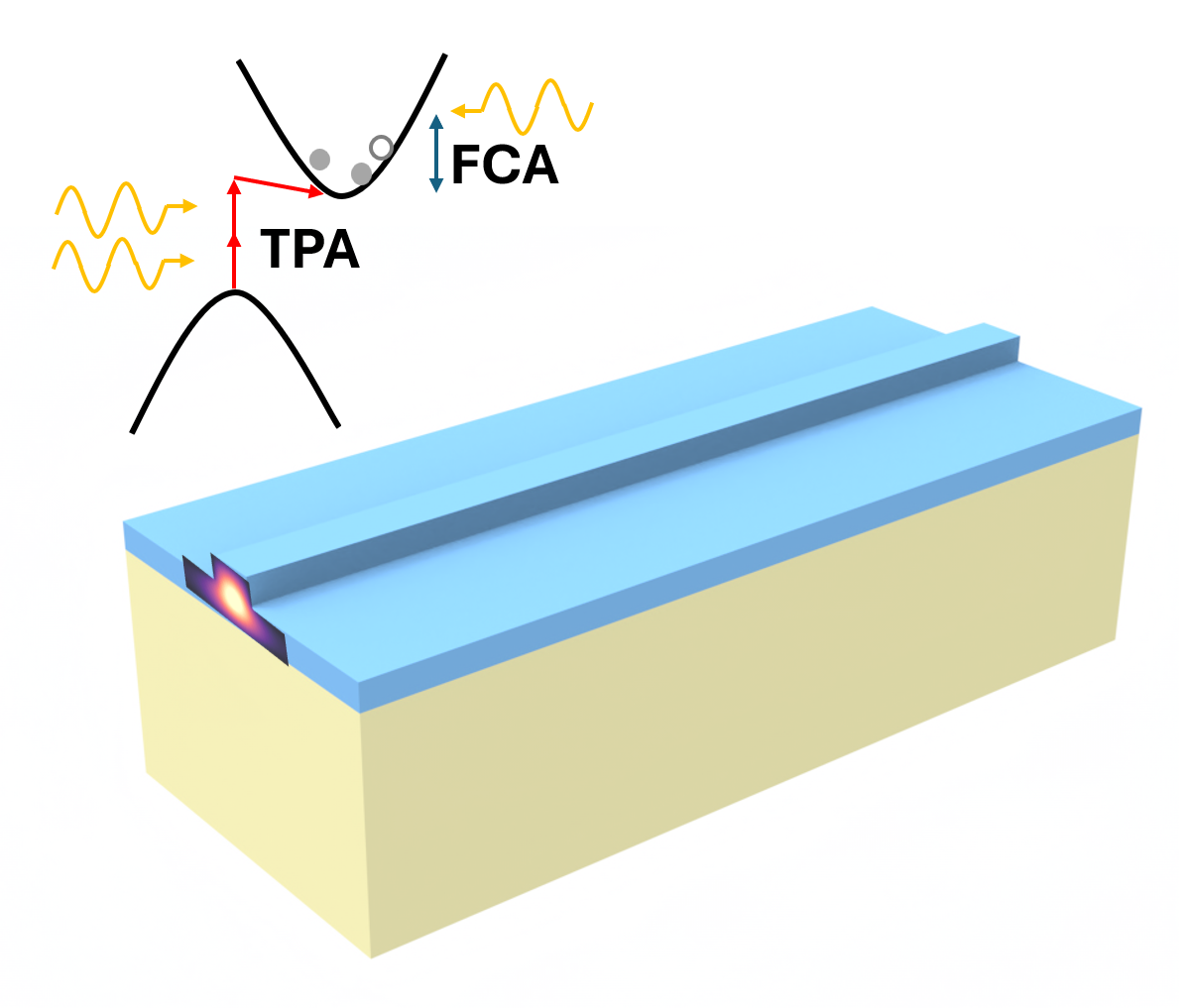 Schematic of the TPA and FCA in a silicon waveguide